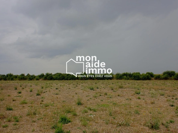 Terrain constructible de 8 500 m² à vendre en Vendée, idéal projet de lotissement