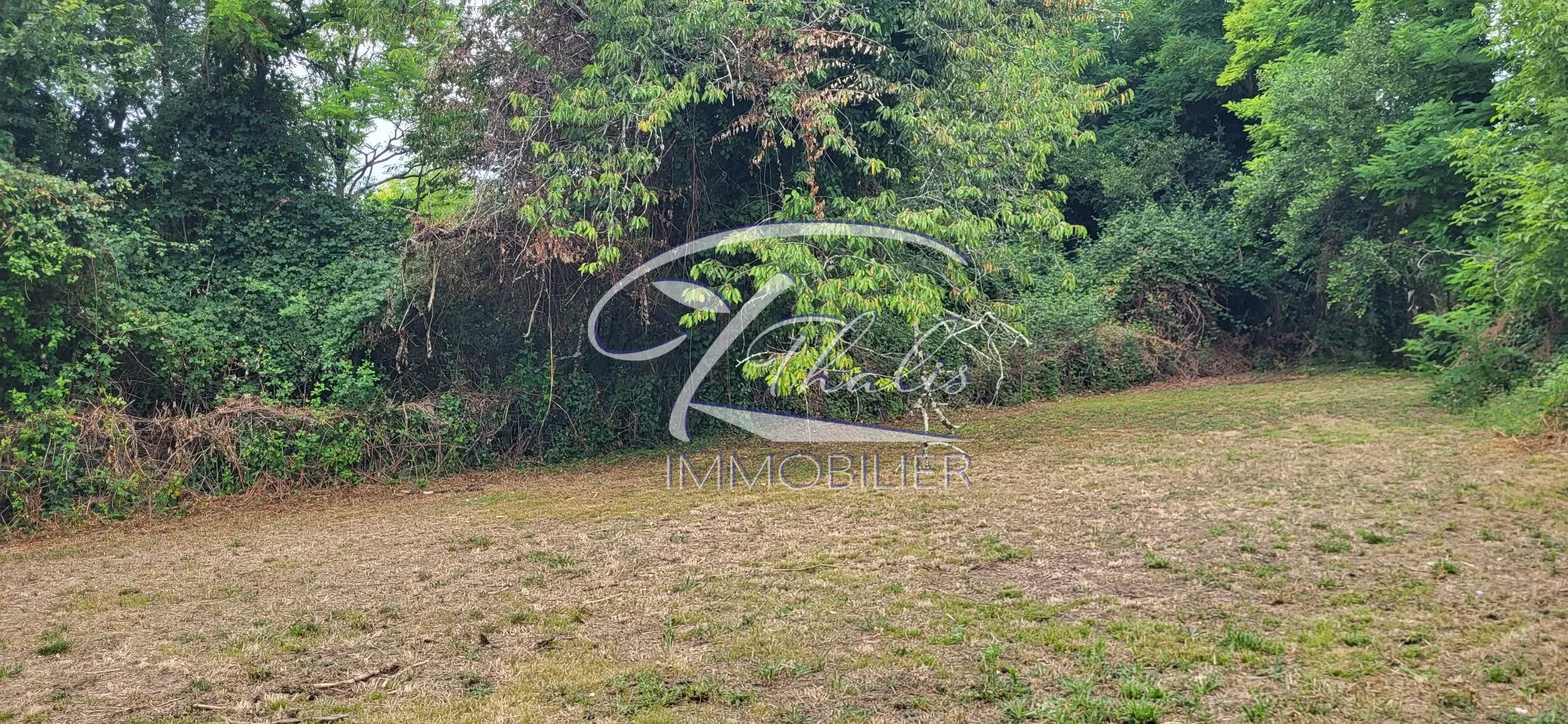Superbe terrain constructible de 1236 m² dans un village calme près de Saint-Romain-la-Virvée 