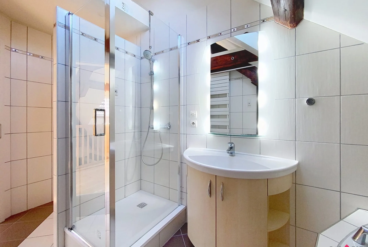douche refaire à neuf en 2025 Appartement duplex rénové de 76 m² à Bouxwiller, idéal premier achat ou investissement 