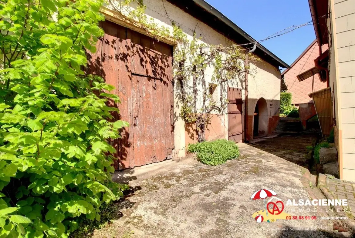 Très belle maison avec grange et jardin à Triembach-au-Val 