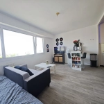 Studio à vendre dans le quartier Giraudeau-Rabelais à Tours, proche commodités