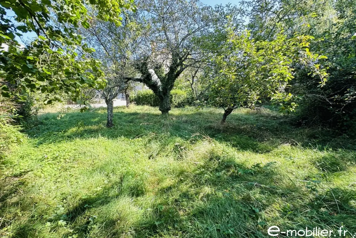Maison avec appartement indépendant à Charlieu – Grand potentiel et terrain constructible 