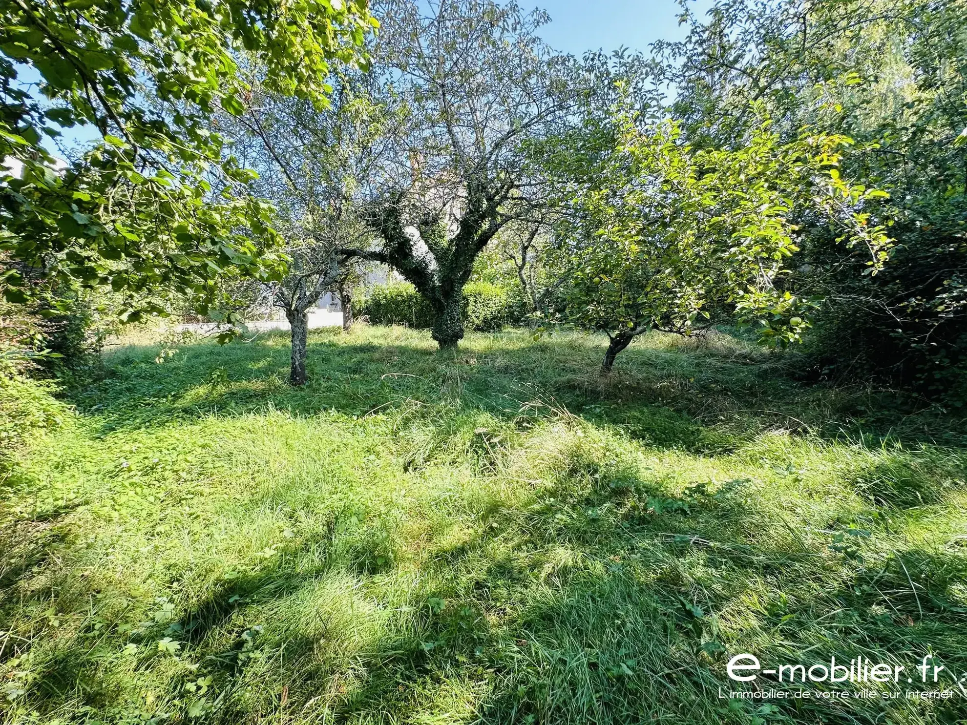 Maison avec appartement indépendant à Charlieu – Grand potentiel et terrain constructible 