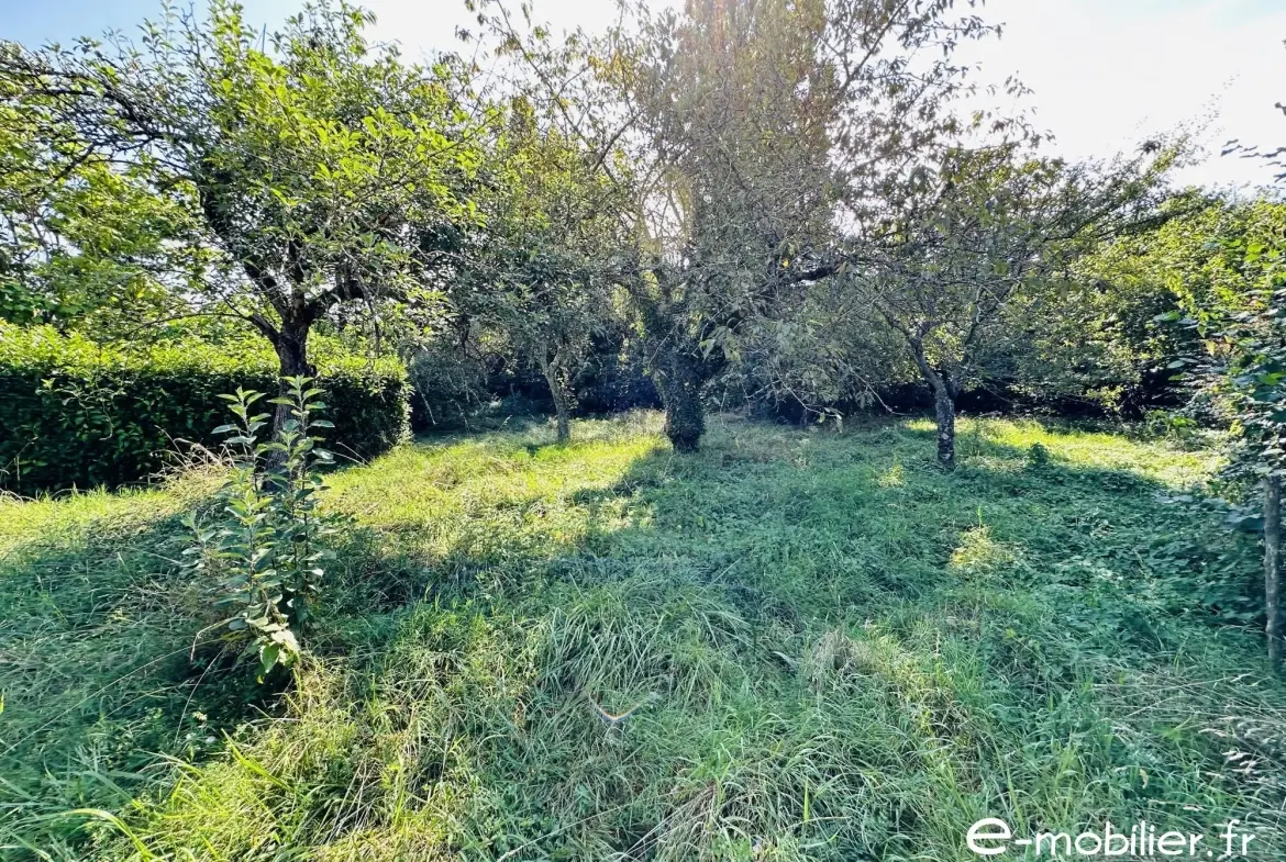 Maison avec appartement indépendant à Charlieu – Grand potentiel et terrain constructible 