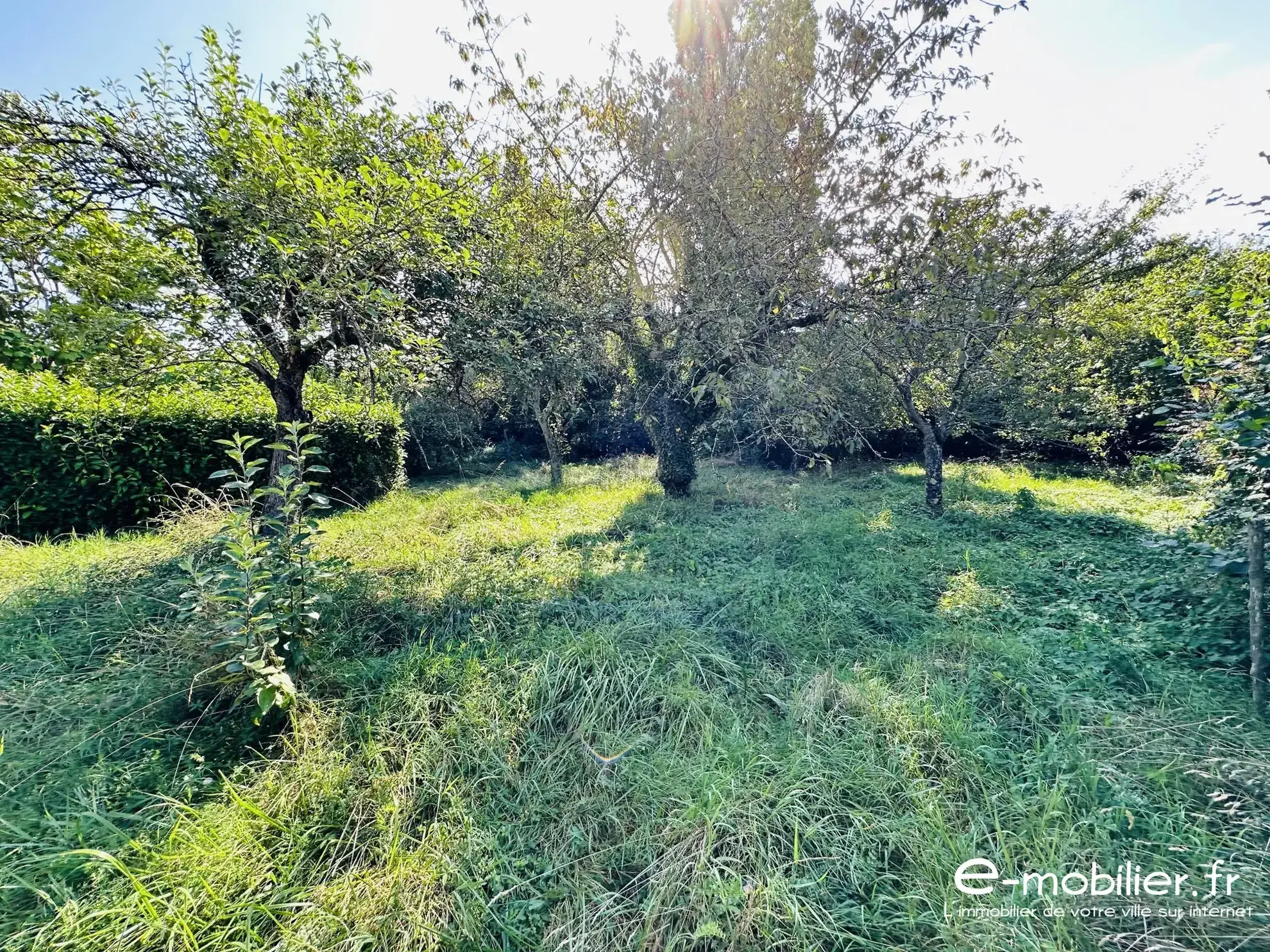 Maison avec appartement indépendant à Charlieu – Grand potentiel et terrain constructible 