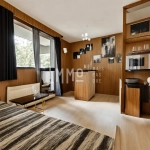 Studio dans résidence ski aux pieds à Vallandry, Vue Mont Blanc