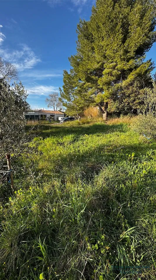 Terrain constructible de 500 m² à Belarga - Idéal pour construire votre maison 