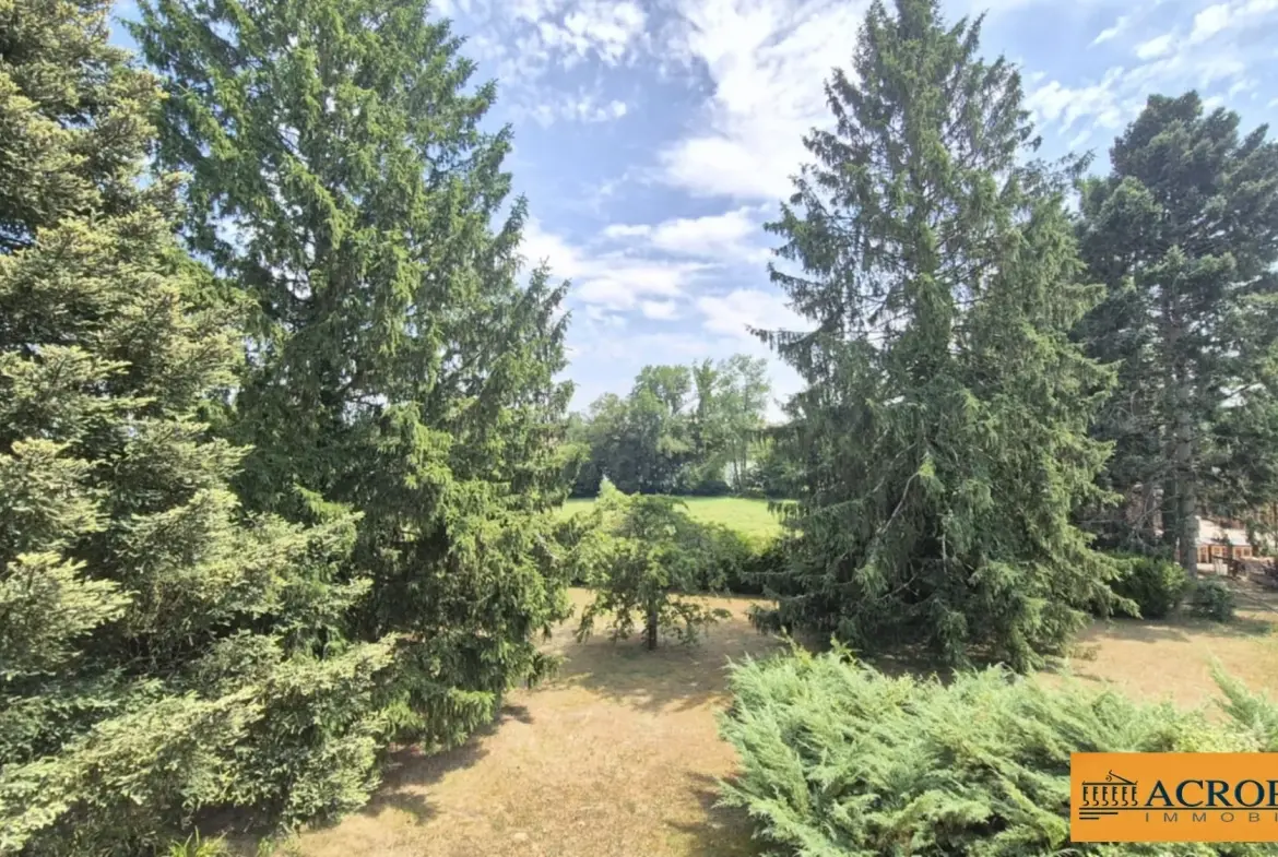 Maison familiale de 184 m² avec vue sur étang à Coullons 