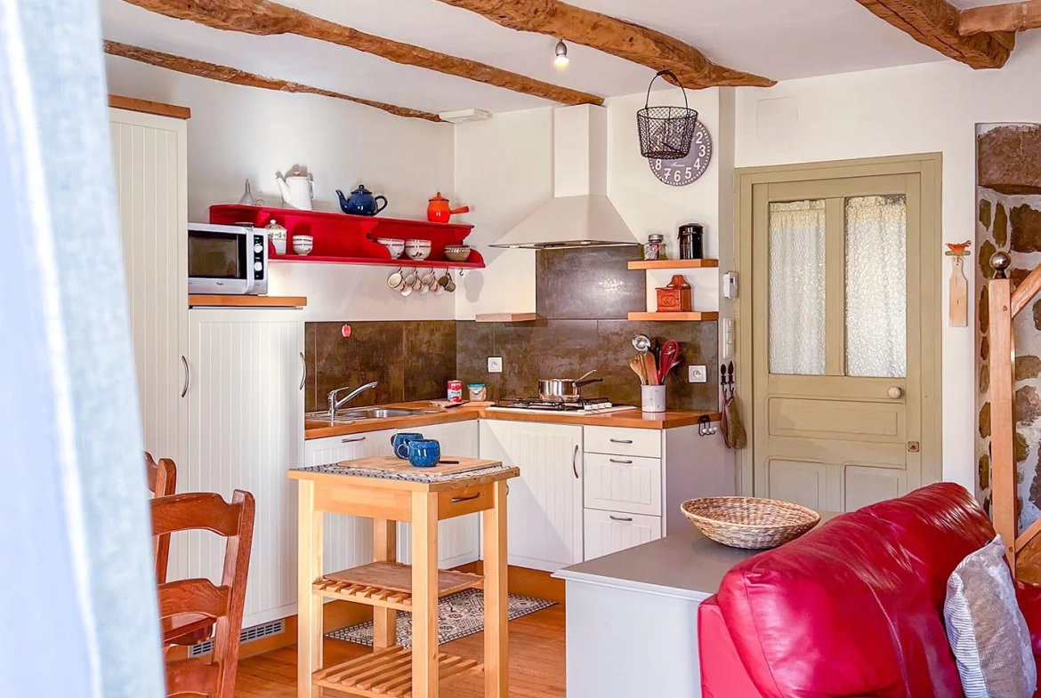 Belle maison de campagne rénovée avec jardin à Thiezac - Charme et authenticité 