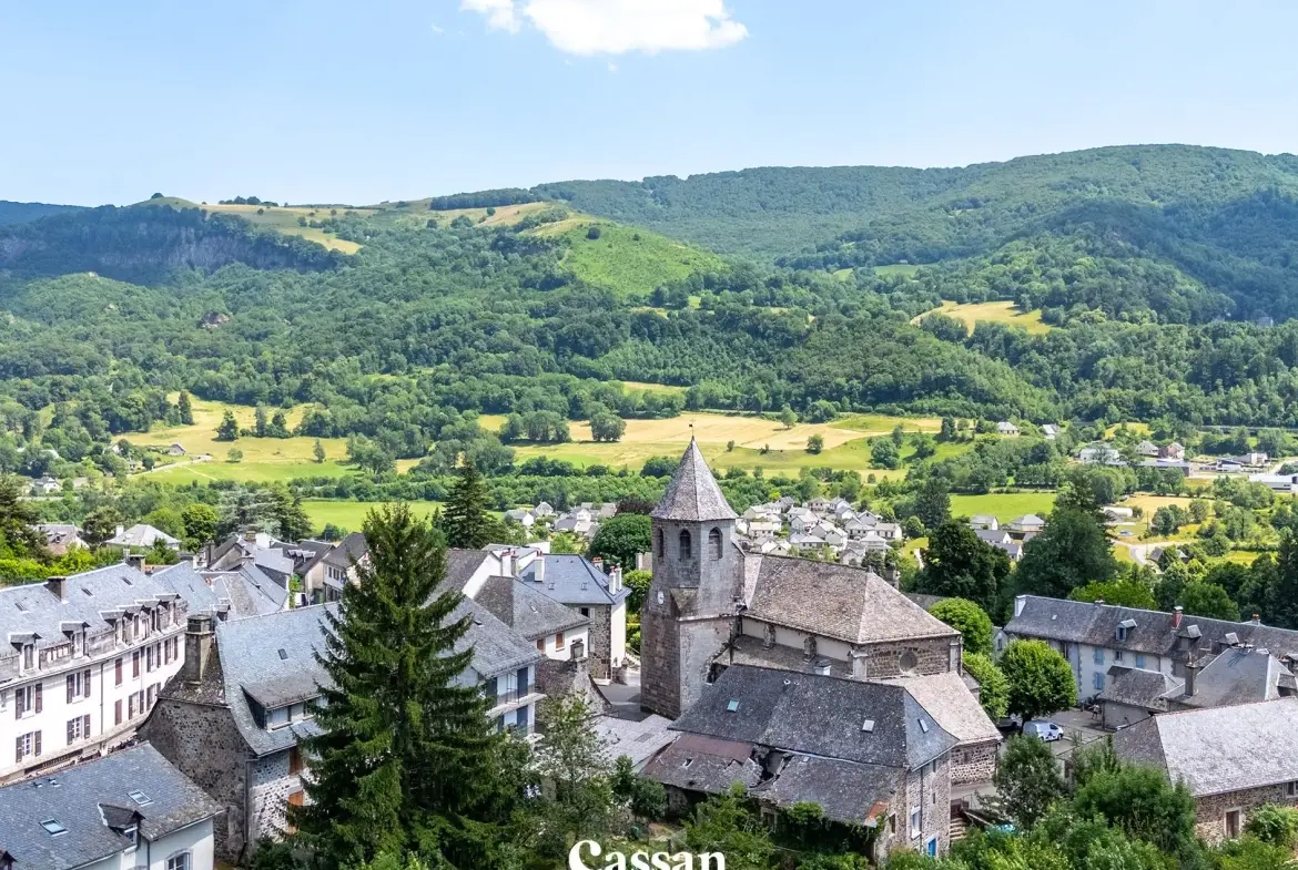 Belle maison de campagne rénovée avec jardin à Thiezac - Charme et authenticité 