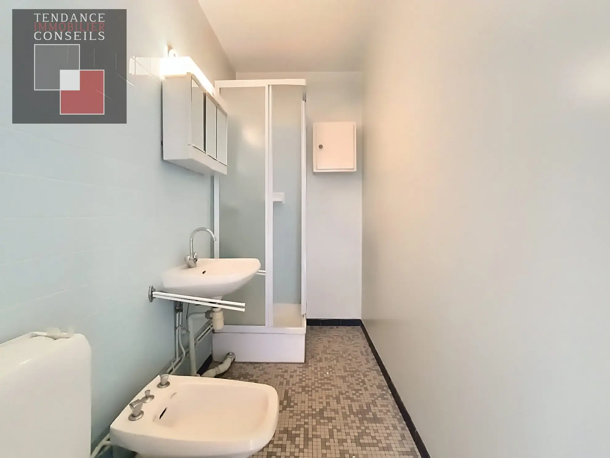 Appartement T4 avec Studio, Garage à Mâcon – Vue sur la Saône 