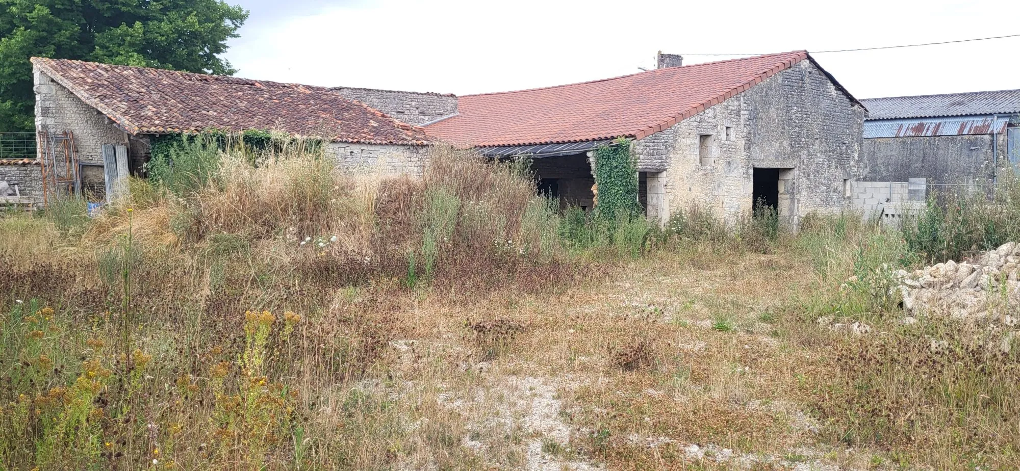Maison ancienne à rénover à Néré – potentiel de développement 