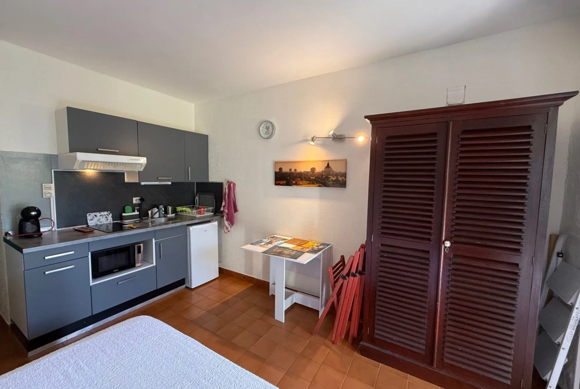 Studio à Argeles-sur-Mer avec terrasse, vue verdure et parking sécurisé 