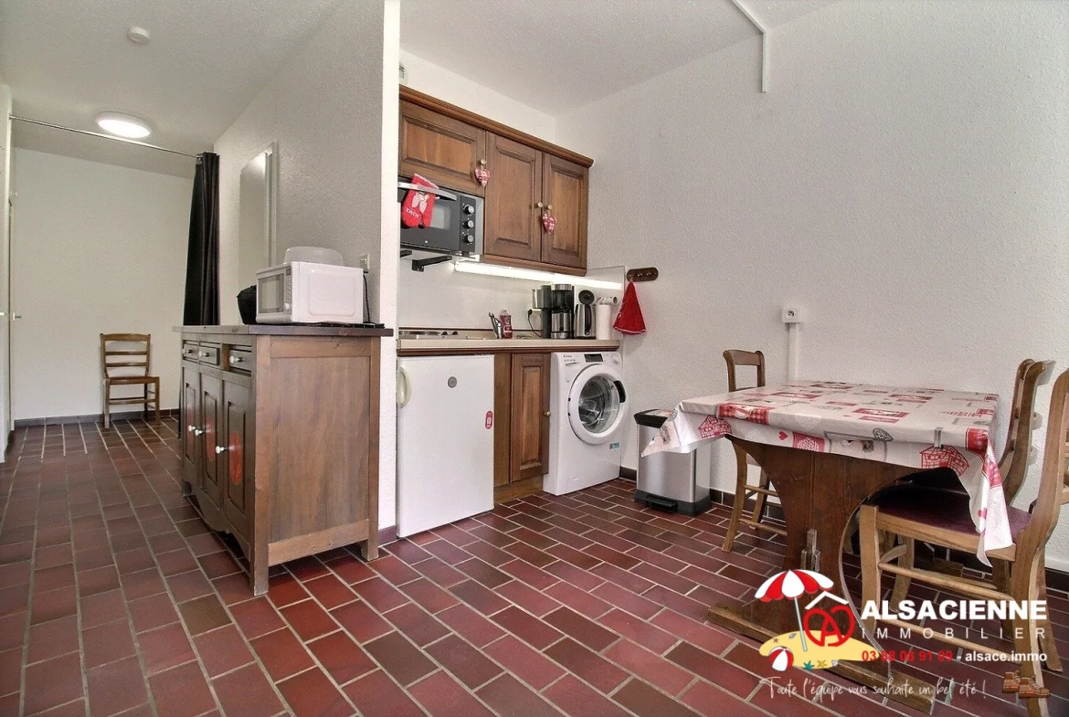 Bel appartement F1 en rez-de-jardin avec terrasse au Hohwald 