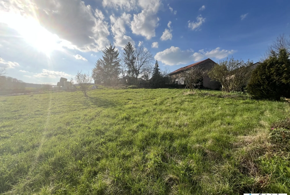 Maison spacieuse en pierre avec grand terrain à Grindorff-Bizing 