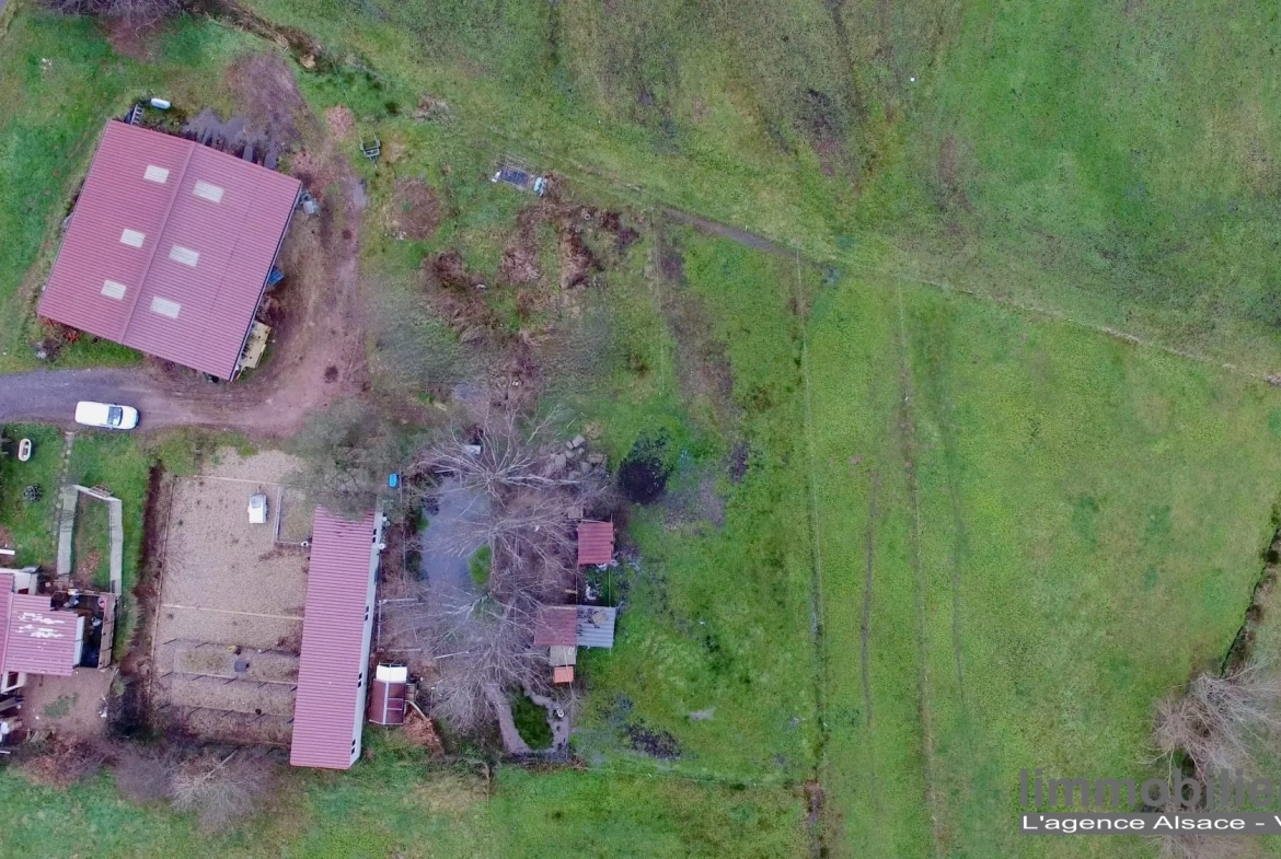Ensemble immobilier agricole à vendre à Wisembach avec vues sur les montagnes 