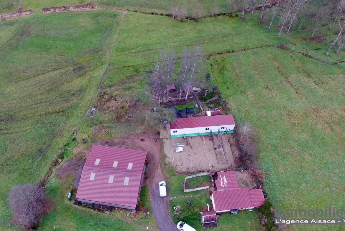 Ensemble immobilier agricole à vendre à Wisembach avec vues sur les montagnes 