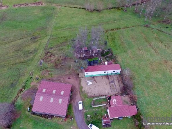 Ensemble immobilier agricole à vendre à Wisembach avec vues sur les montagnes