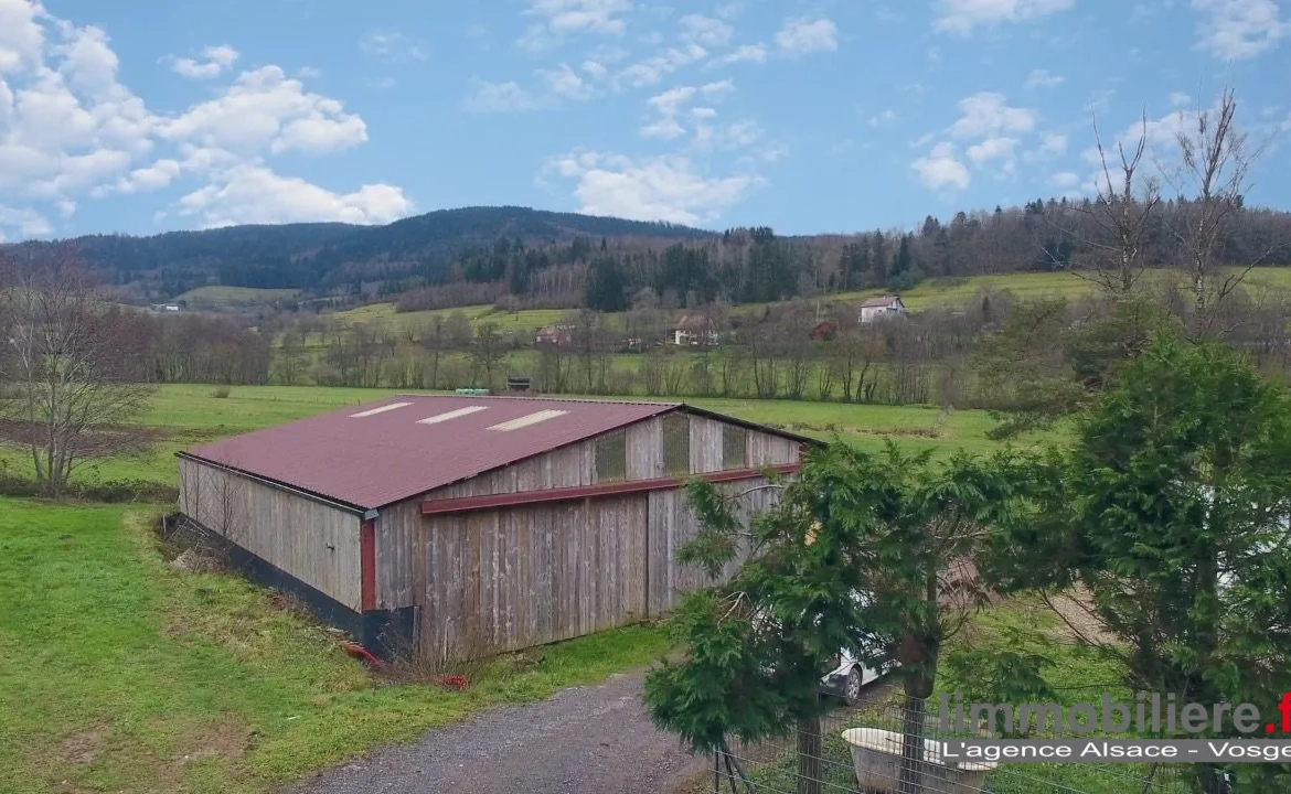 Ensemble immobilier agricole à vendre à Wisembach avec vues sur les montagnes 