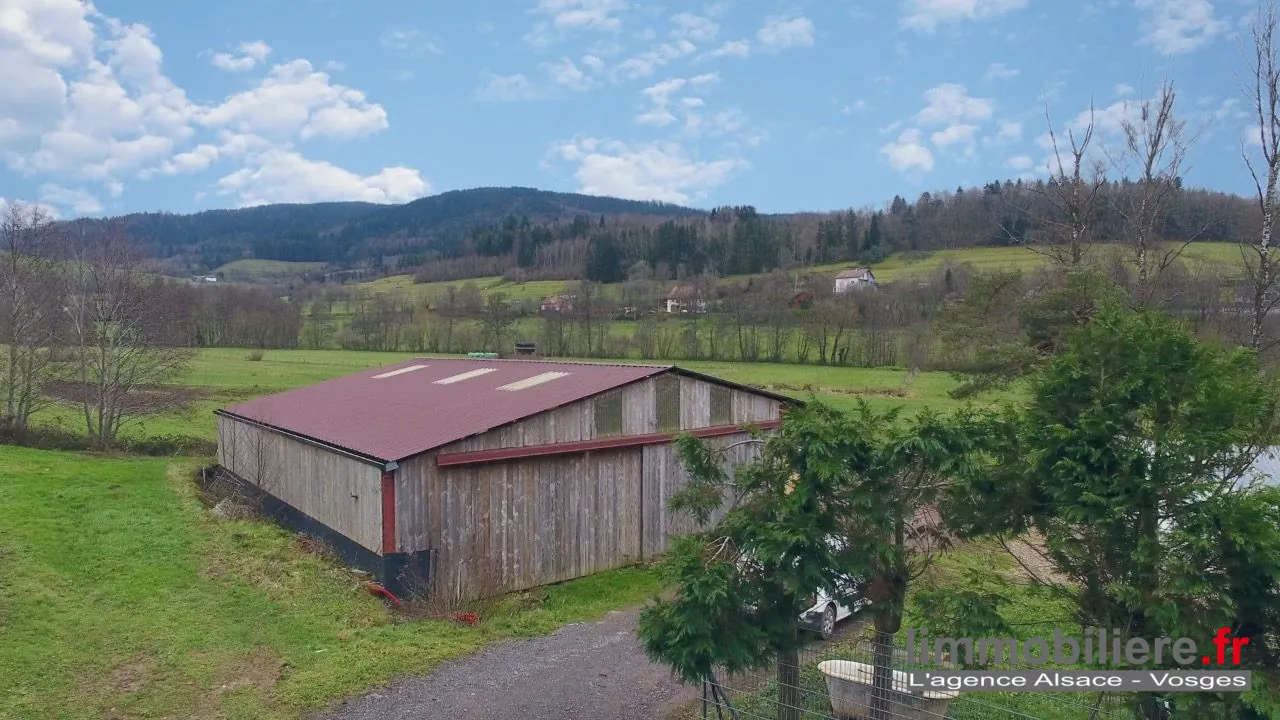 Ensemble immobilier agricole à vendre à Wisembach avec vues sur les montagnes 