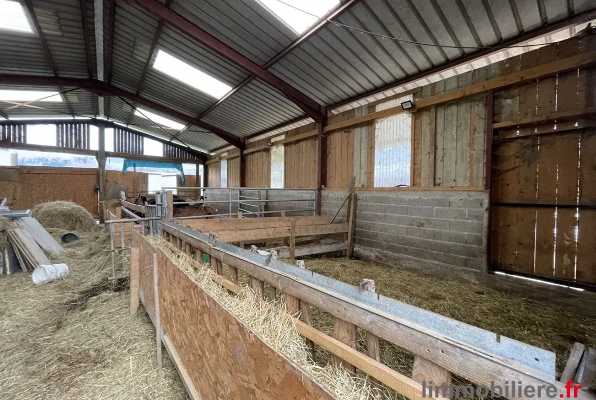 Ensemble immobilier agricole à vendre à Wisembach avec vues sur les montagnes 