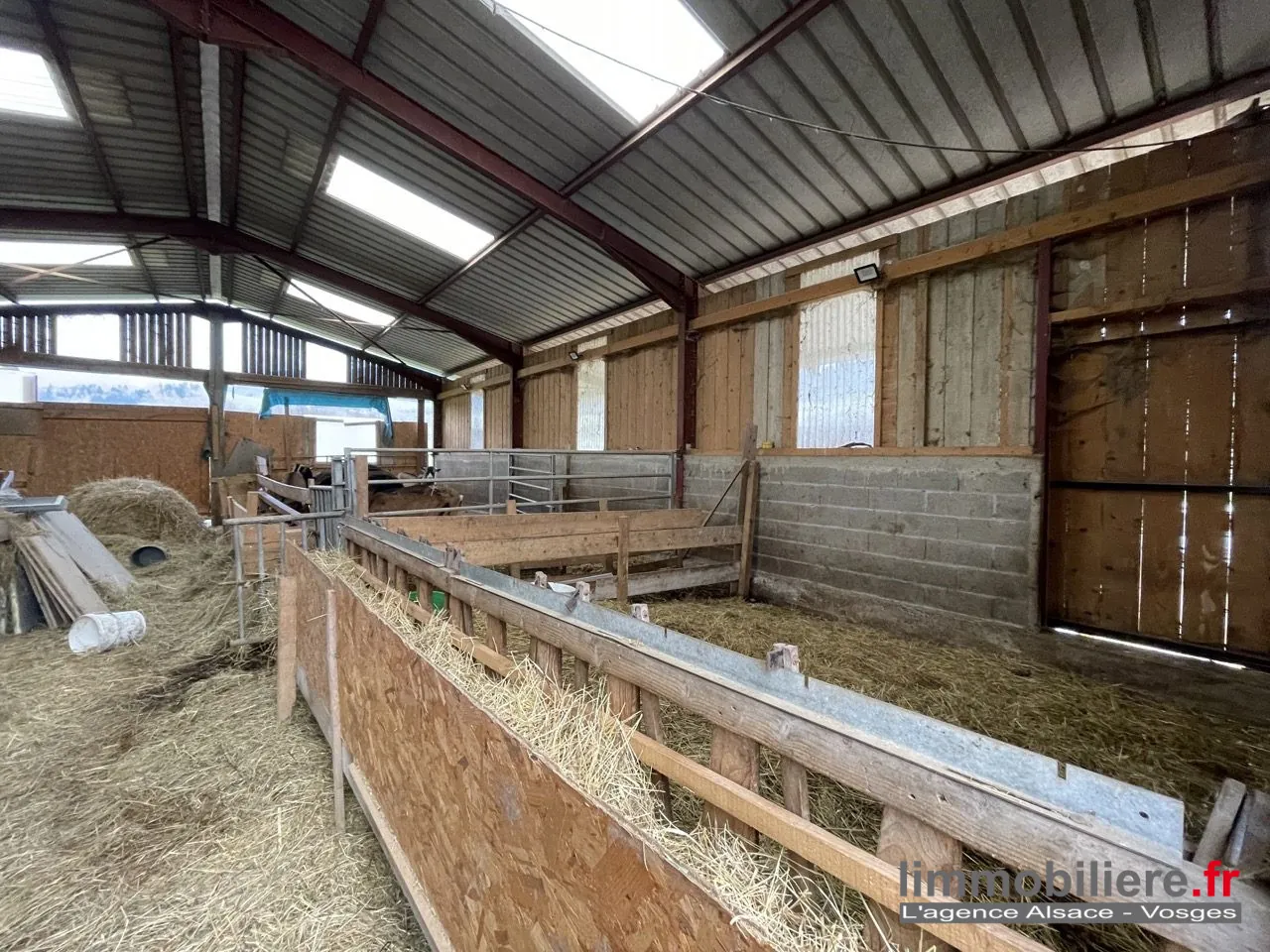 Ensemble immobilier agricole à vendre à Wisembach avec vues sur les montagnes 