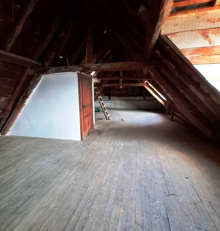 Maison bourgeoise à rénover avec vue montagne à Boutx - Pyrénées 