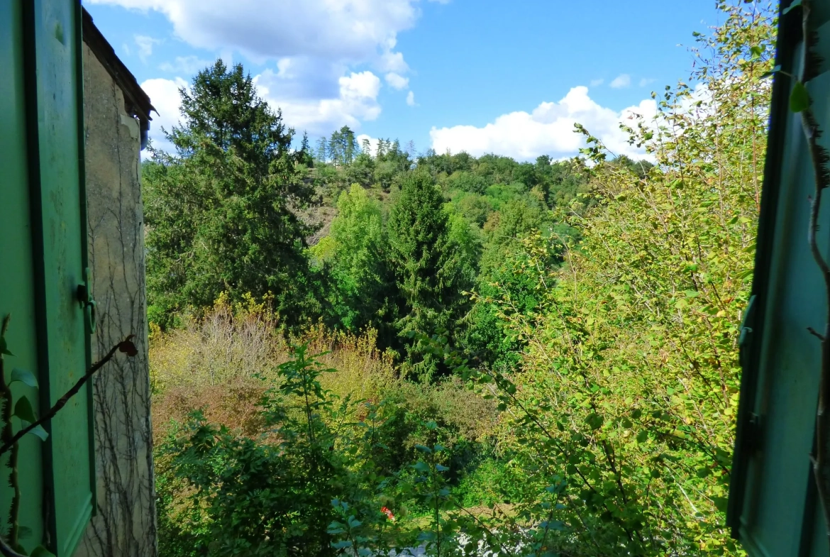 Maison à vendre à Laguépie avec jardin et potentiel de rénovation 