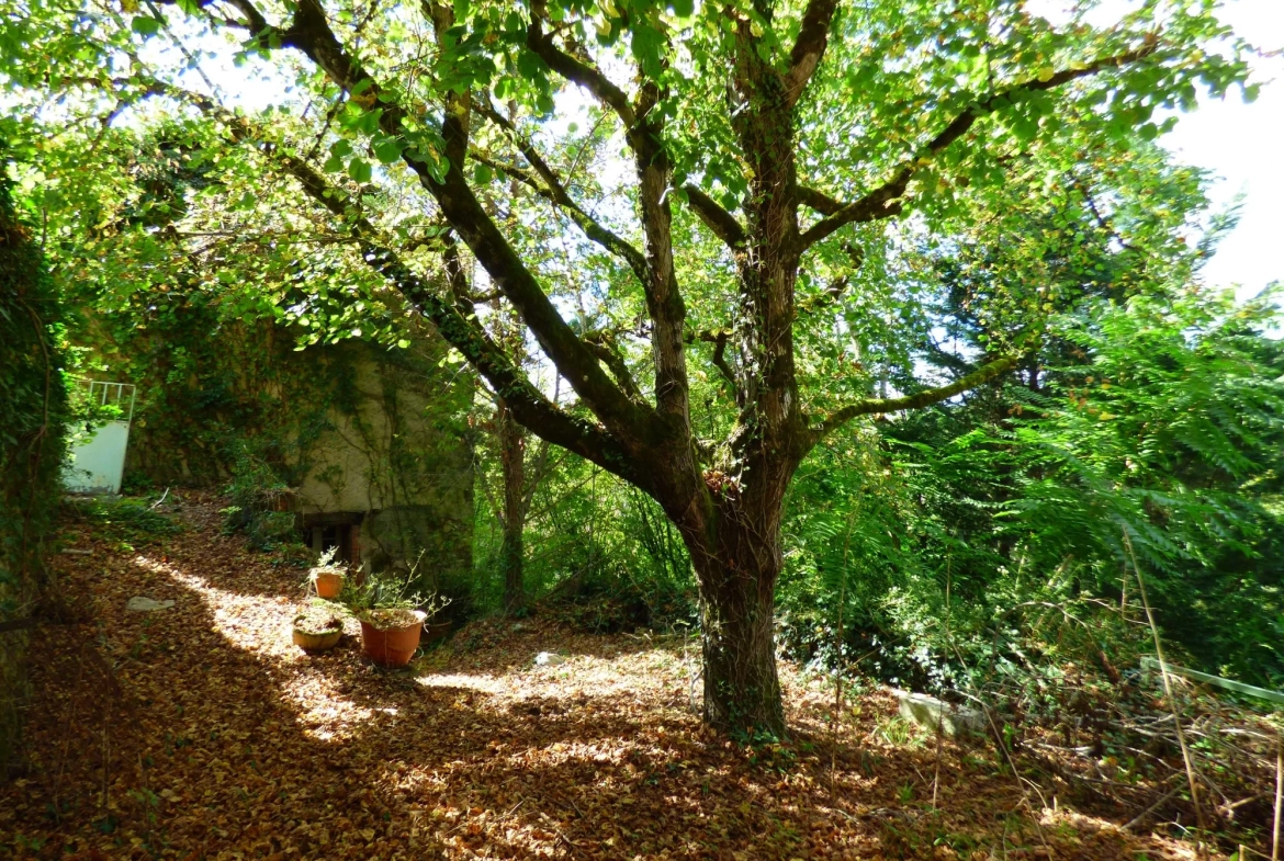 Maison à vendre à Laguépie avec jardin et potentiel de rénovation 