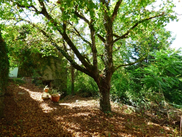 Maison à vendre à Laguépie avec jardin et potentiel de rénovation