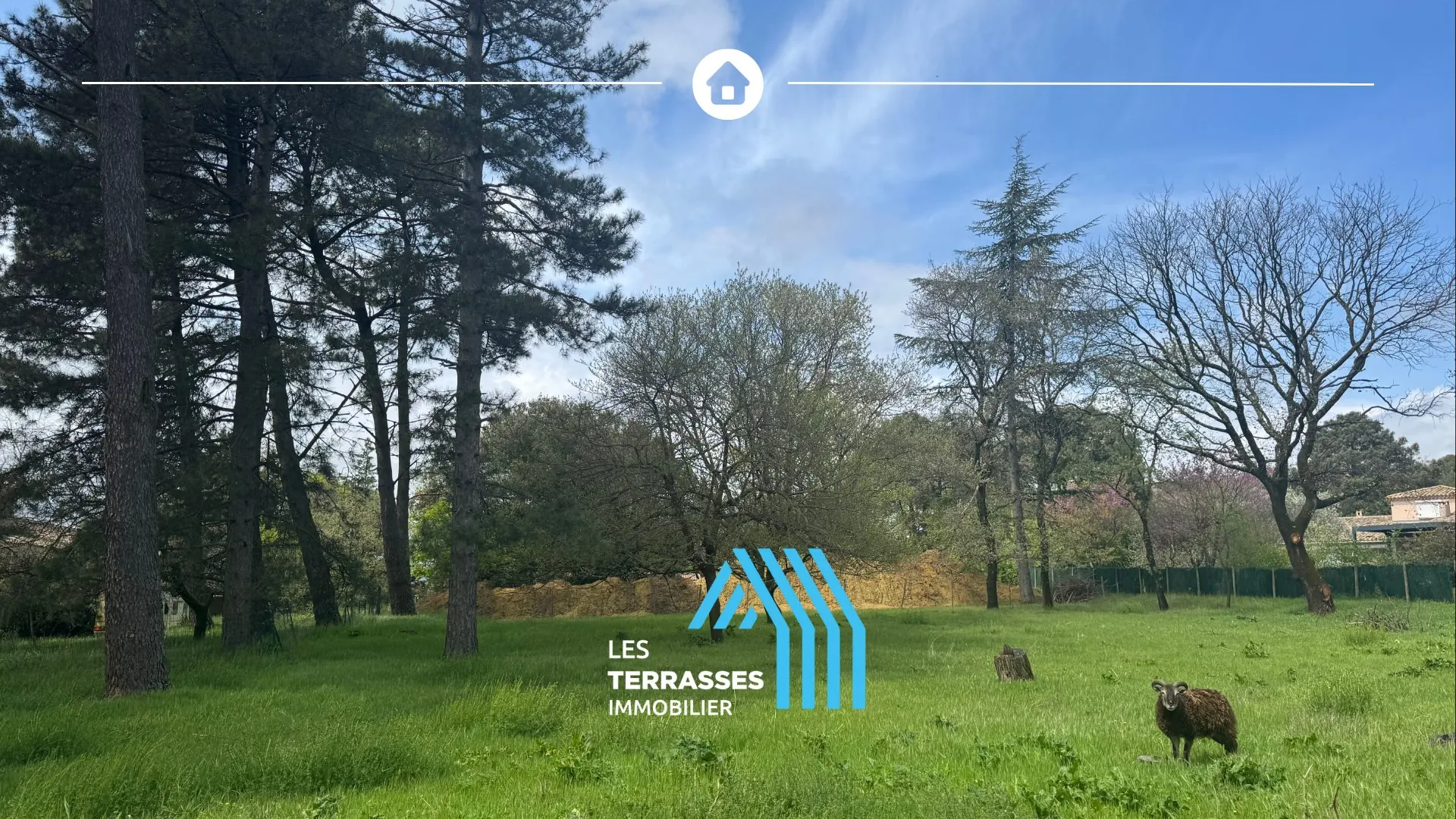 Terrain à vendre à Montélimar avec vue dégagée, environnement boisé et proche commodités 