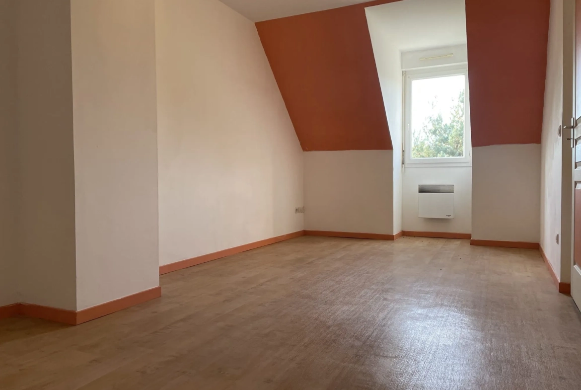 Belle maison familiale avec terrain clos à Douchy-Montcorbon 