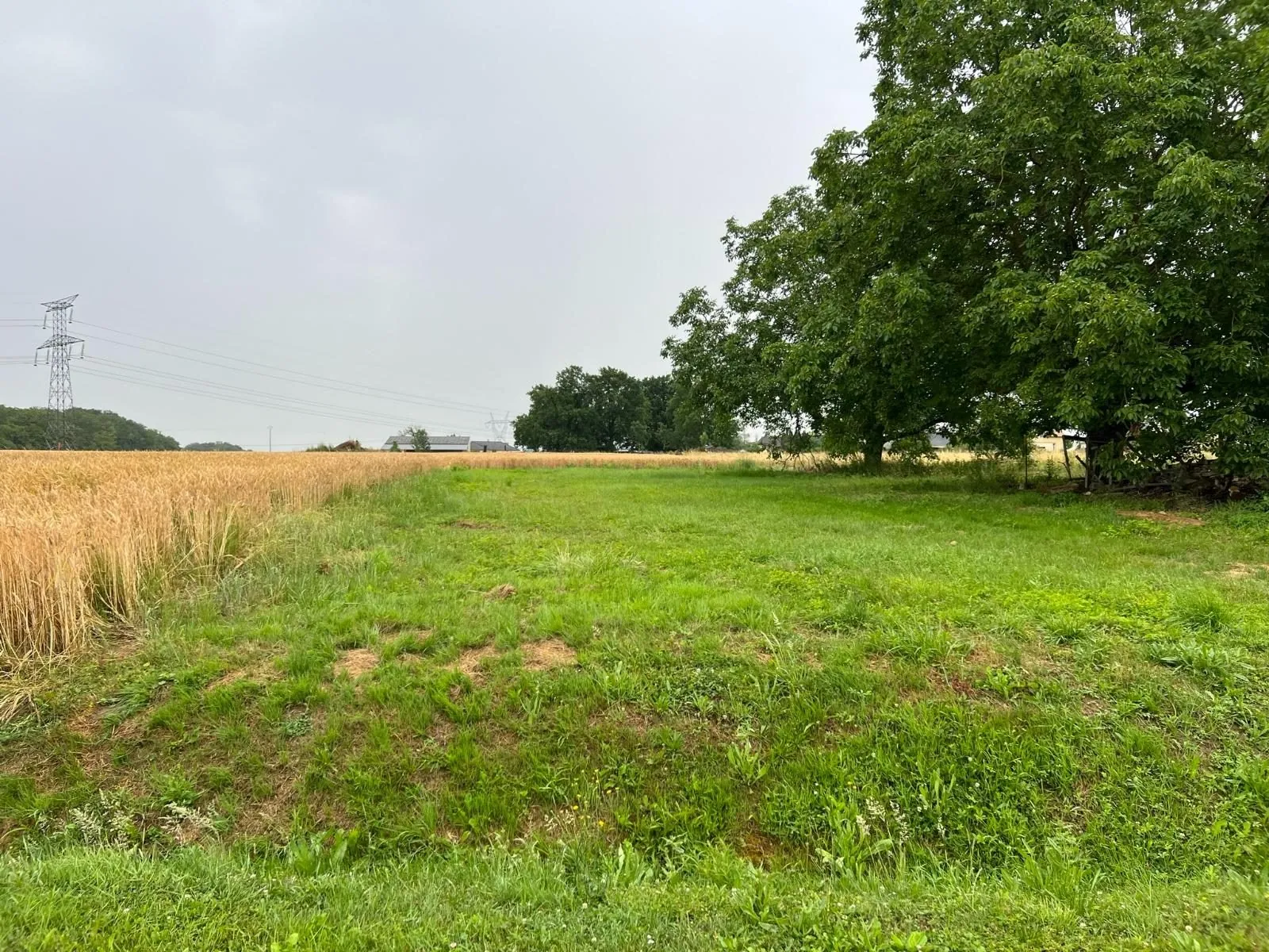 Terrain constructible à Corberon proche Beaune - 1085 m² sans contrainte 