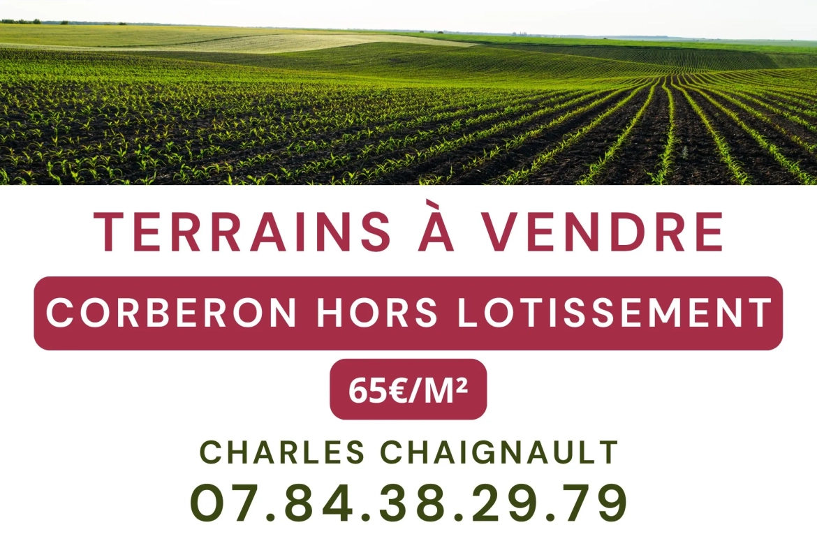Terrain constructible à Corberon proche Beaune - 1085 m² sans contrainte 