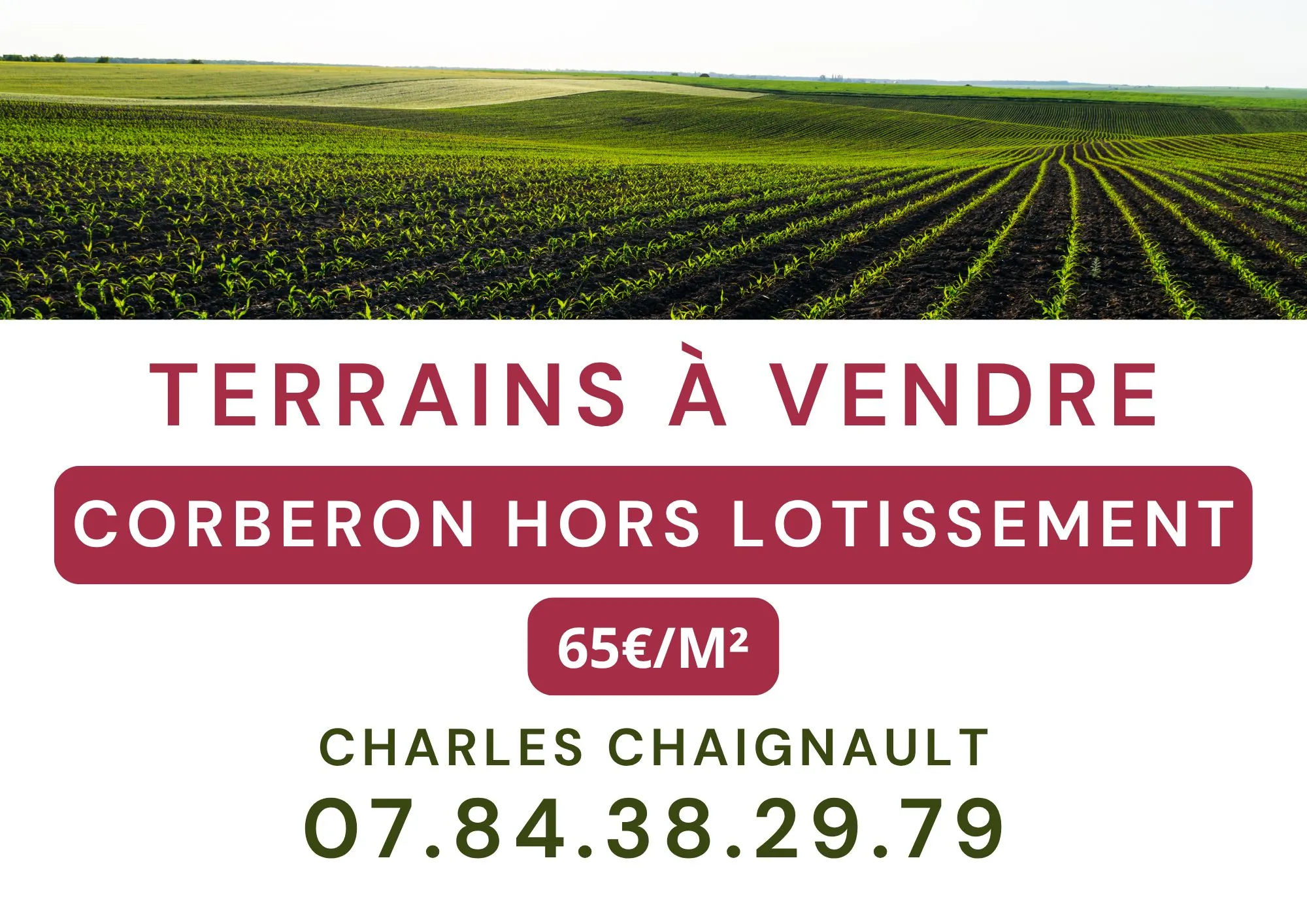 Terrain constructible à Corberon proche Beaune - 1085 m² sans contrainte 