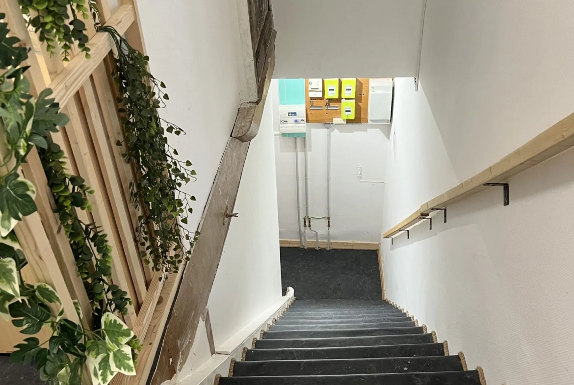 Maison ancienne divisée en 3 appartements avec jardin à Villemurlin 
