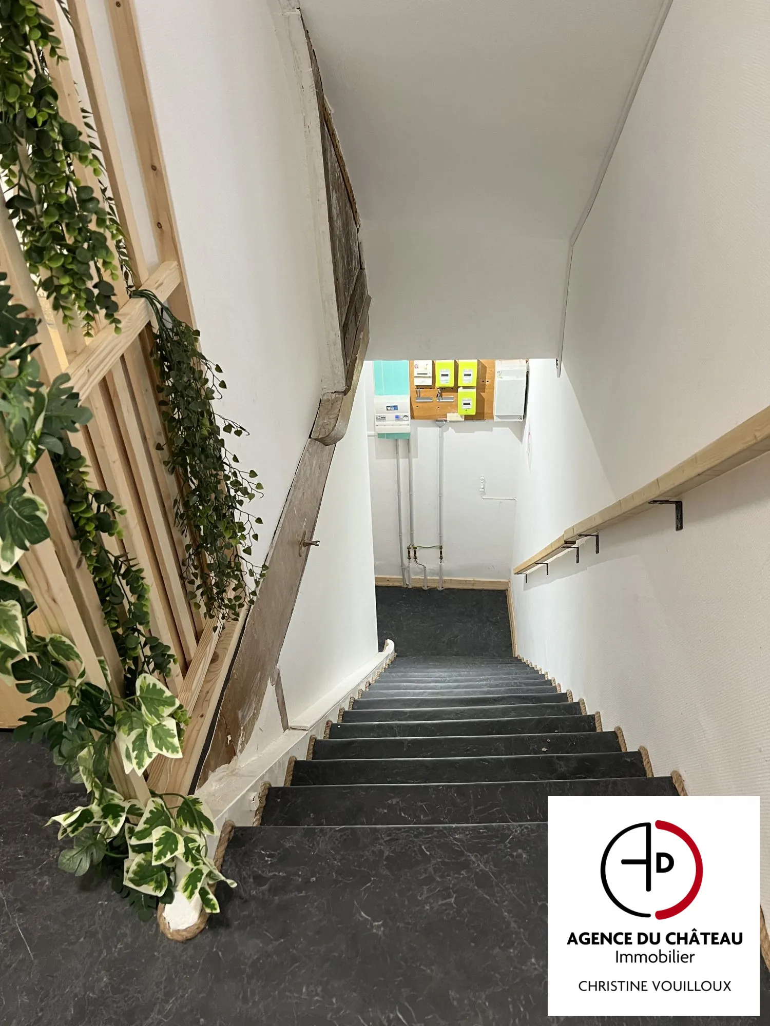 Maison ancienne divisée en 3 appartements avec jardin à Villemurlin 