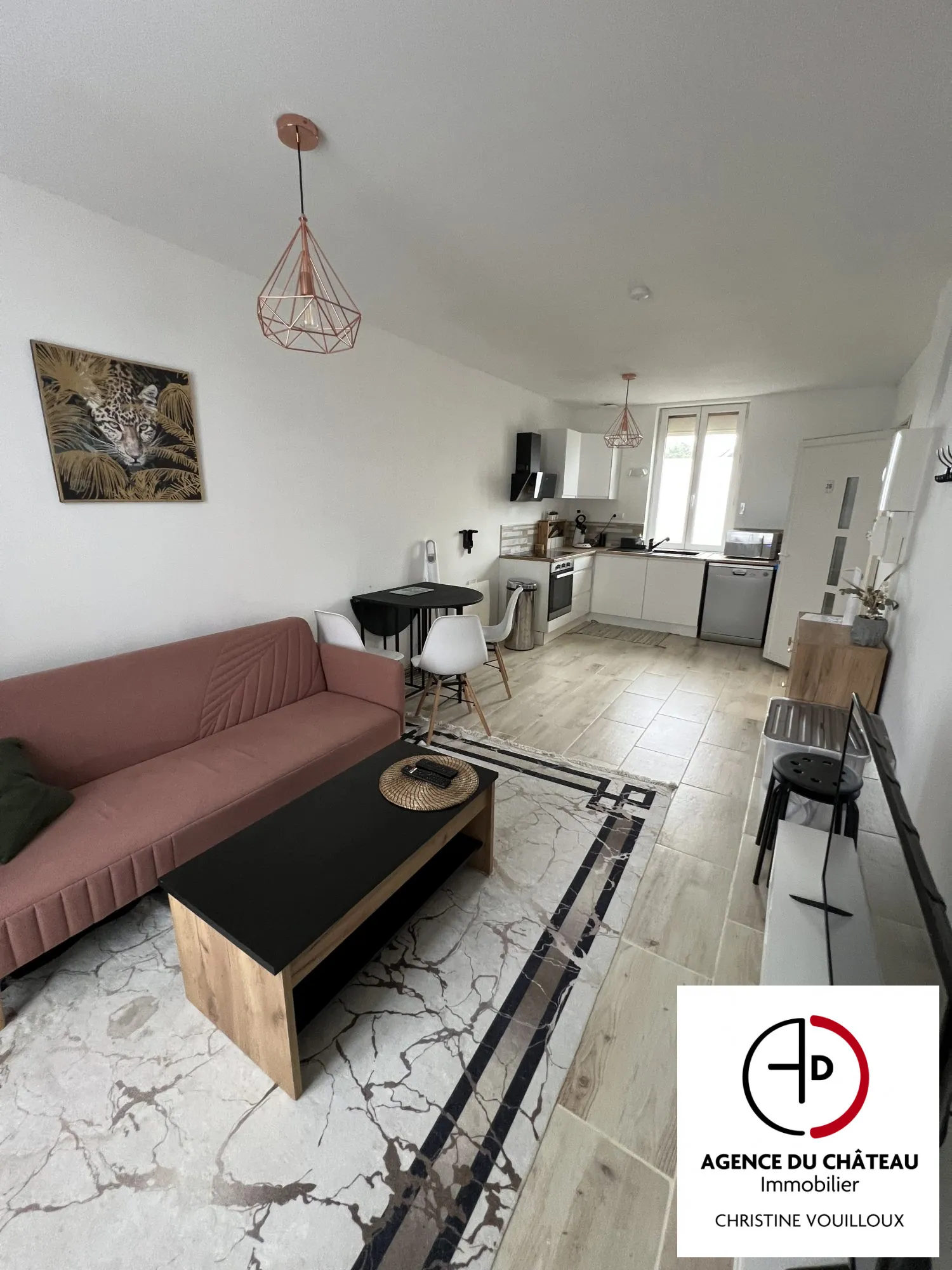 Maison ancienne divisée en 3 appartements avec jardin à Villemurlin 