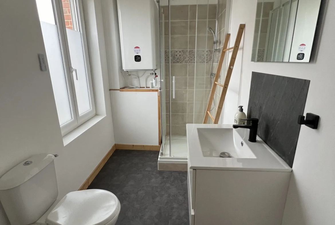 Maison ancienne divisée en 3 appartements avec jardin à Villemurlin 