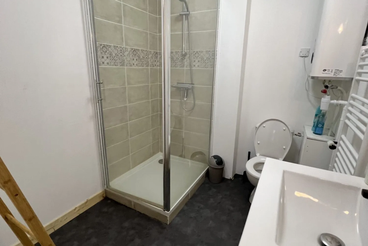 Maison ancienne divisée en 3 appartements avec jardin à Villemurlin 