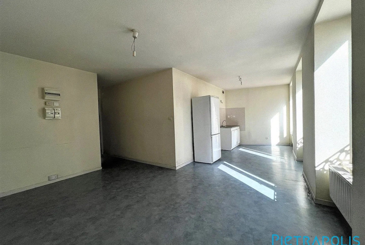 Immeuble de rapport à Thizy-les-Bourgs avec 3 appartements | 280 m² 
