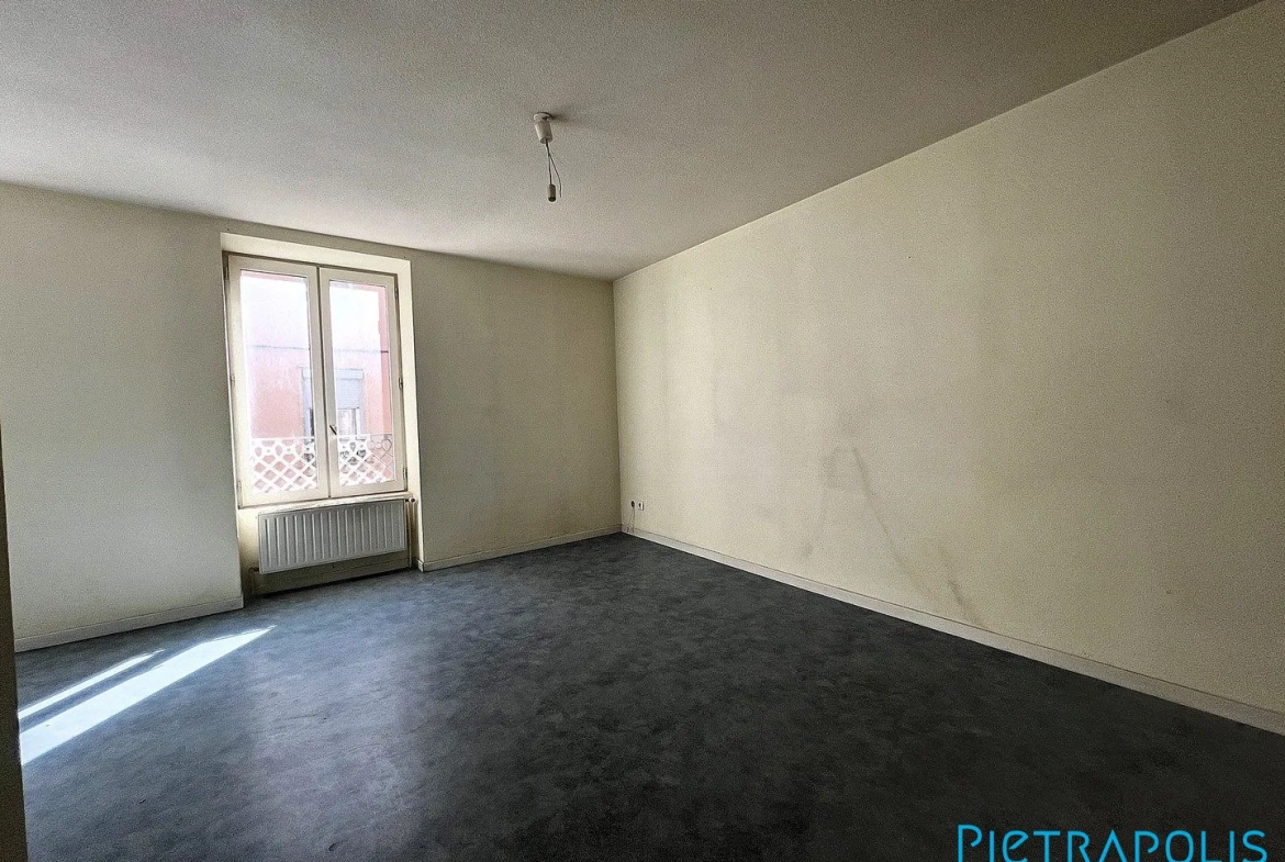 Immeuble de rapport à Thizy-les-Bourgs avec 3 appartements | 280 m² 