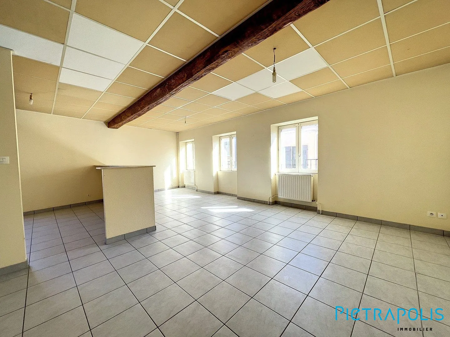 Immeuble de rapport à Thizy-les-Bourgs avec 3 appartements | 280 m² 