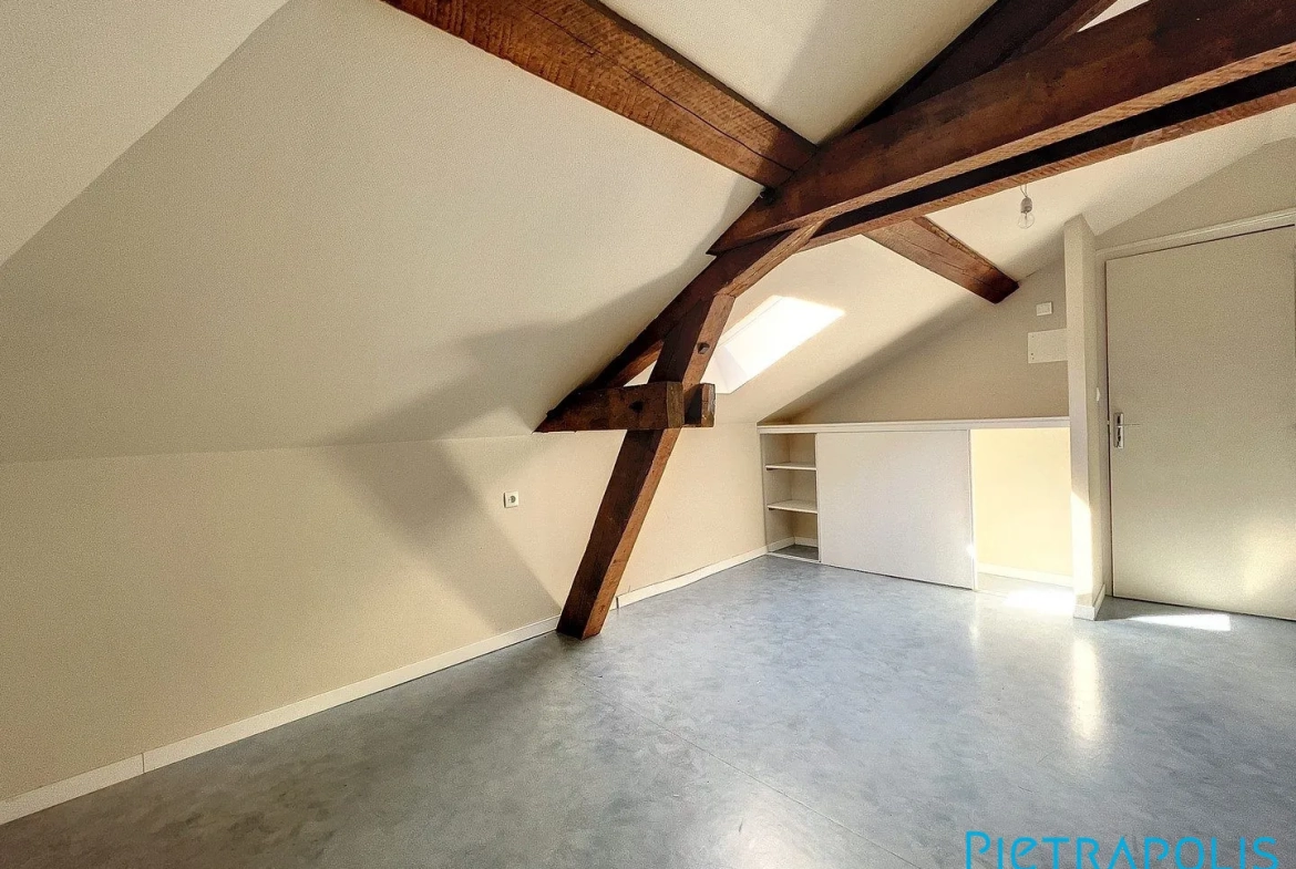 Immeuble de rapport à Thizy-les-Bourgs avec 3 appartements | 280 m² 