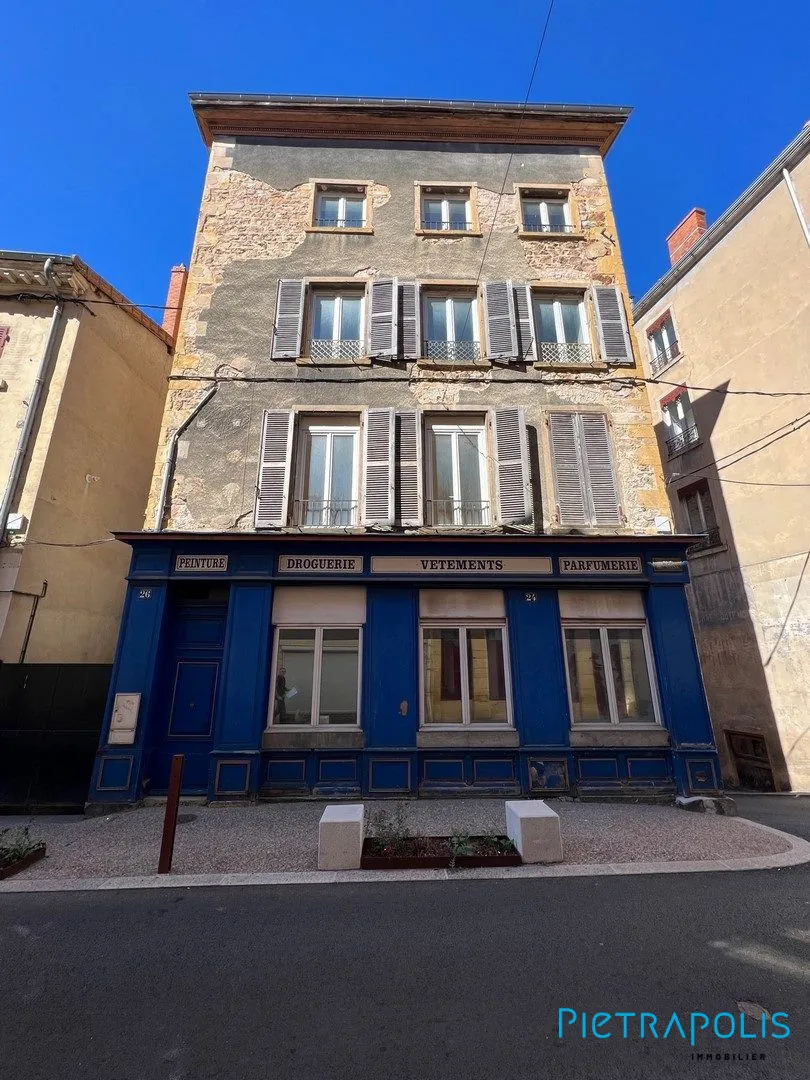 Immeuble de rapport à Thizy-les-Bourgs avec 3 appartements | 280 m² 