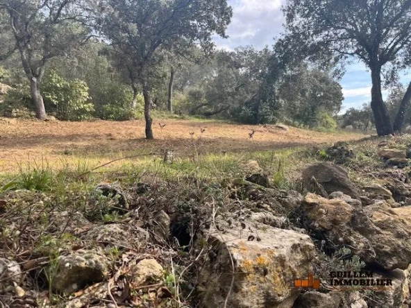Terrain en zone naturelle avec vue dégagée à Grans