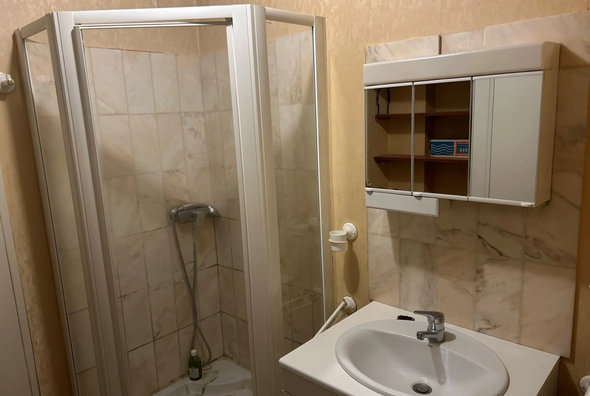 Spacieux appartement lumineux à Dijon Drapeau avec potentiel de rénovation et vue sur parc 