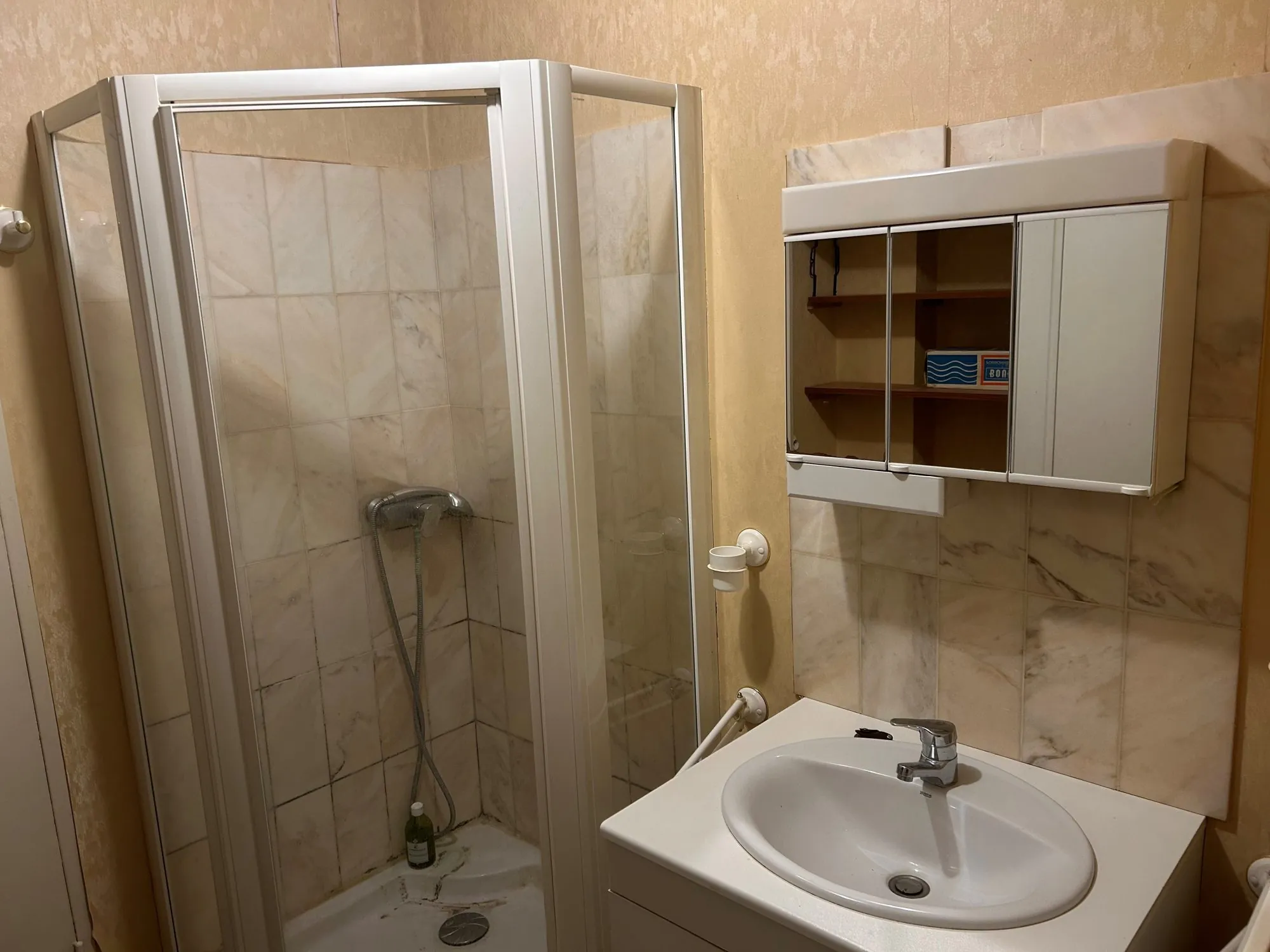 Spacieux appartement lumineux à Dijon Drapeau avec potentiel de rénovation et vue sur parc 