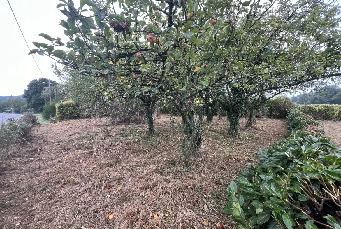 Terrain à vendre à Augan - 537 m² pour projet immobilier 