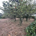 Terrain à vendre à Augan - 537 m² pour projet immobilier